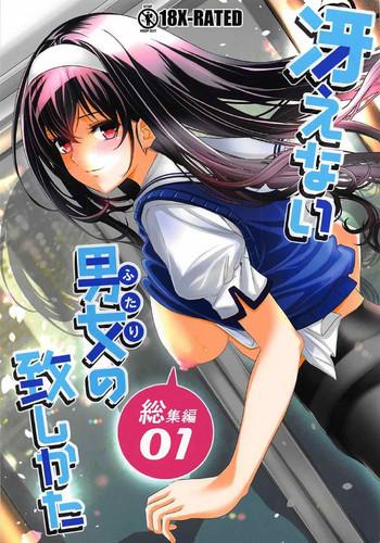 saenai futari no itashikata soushuuhen vol 01 cover