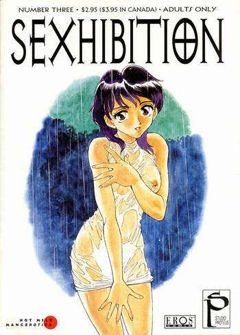 sexhibition 3 cover