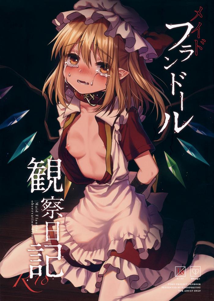 maid flandre kansatsu nikki maid flandre observation diary cover