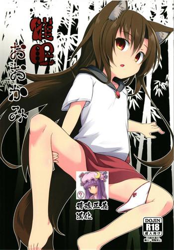 saimin ookami cover