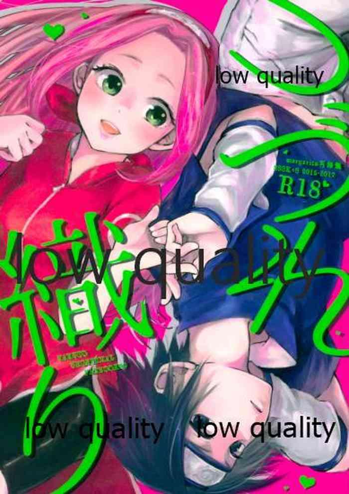 397312 cover