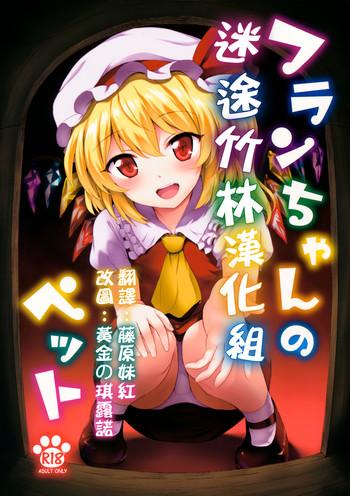 flan chan no pet cover