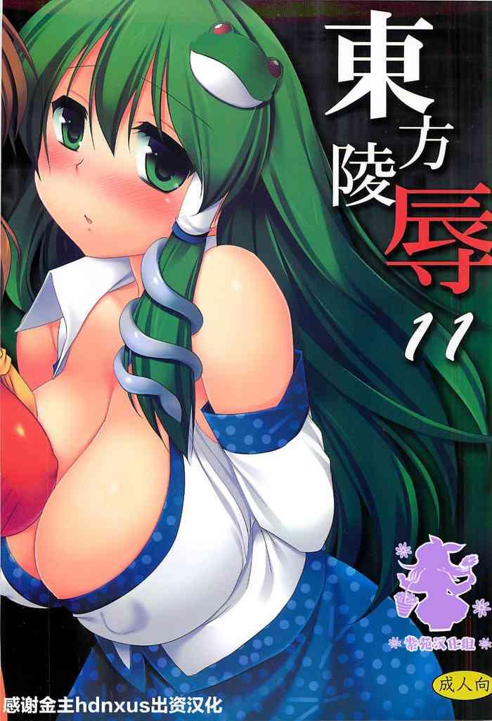 touhou ryoujoku 11 cover