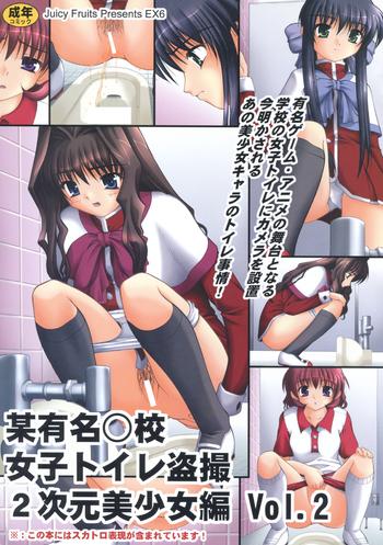 bou yuumei koukou joshi toilet tousatsu 2 jigen bishoujo hen vol 2 cover