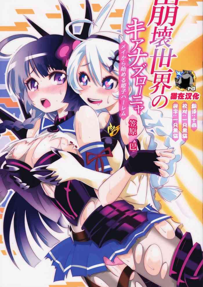 the honkai world of kiana bronya cover